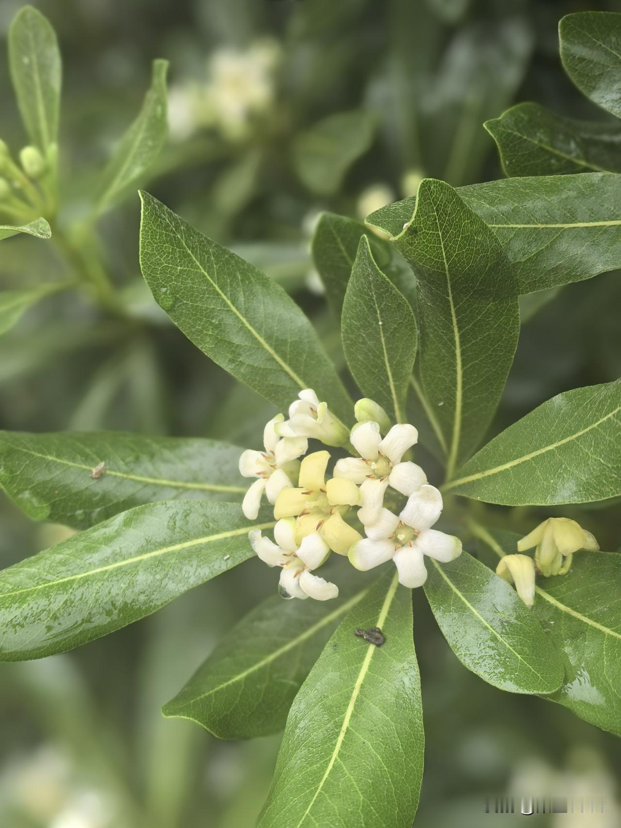 最近梦多，奇奇怪怪的梦，有些醒来能隐约记起些片断，有些不记得了。

整夜整夜的做