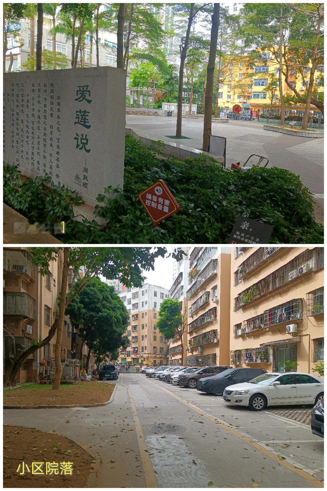 分享一张最近随手拍的照片