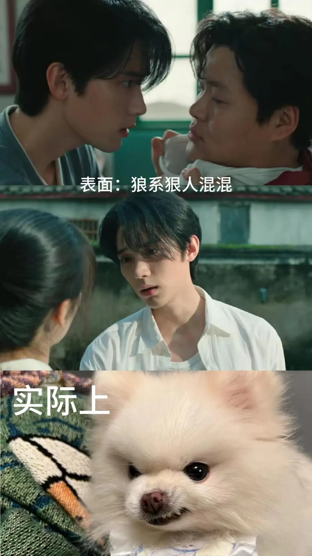 周翊然新剧恶犬人设表面：收账混混、不好惹、打架实际上：顺毛的、带刺的外表为生活、