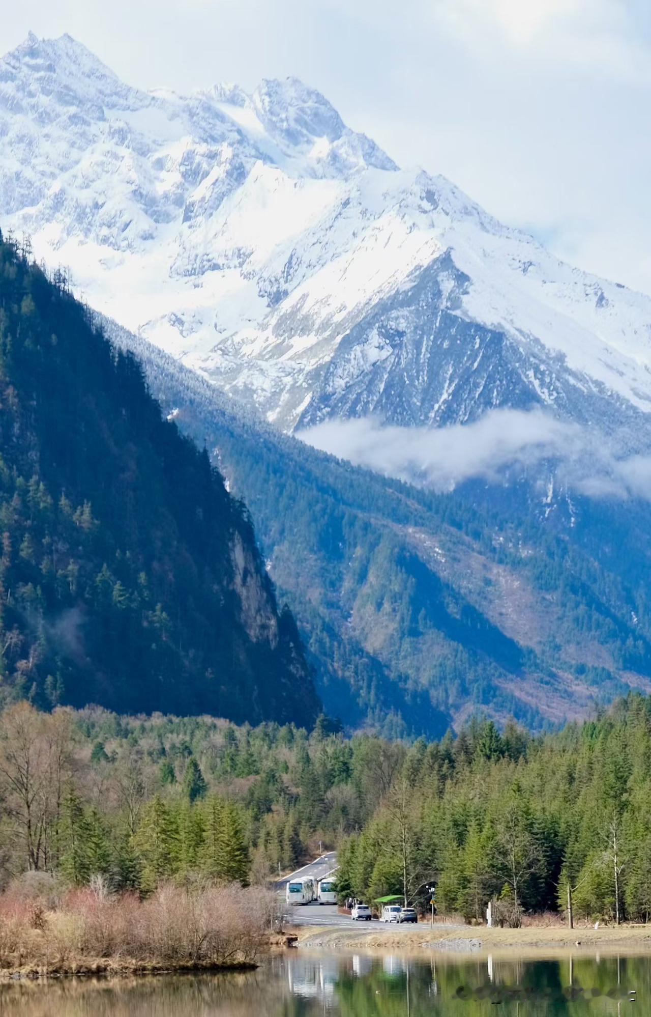 朋友71岁的父亲，骑摩托车去赶集，出门时家里的狗狗围着他狂吠，还用嘴去撕扯他的裤
