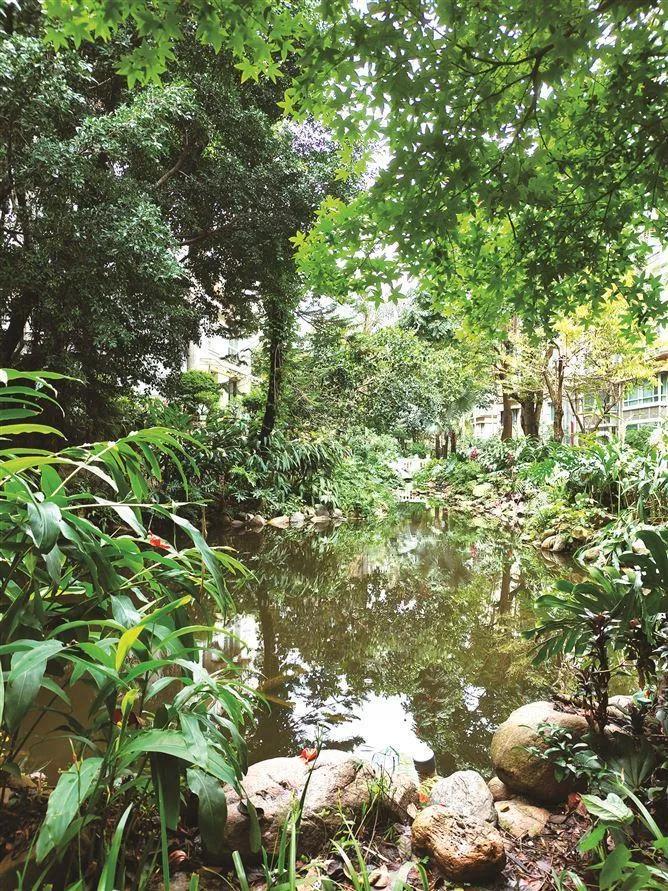 住了20年的小区，青蛙叫了20年！广州这个小区业主快被逼疯了：整晚“呱呱呱”，老