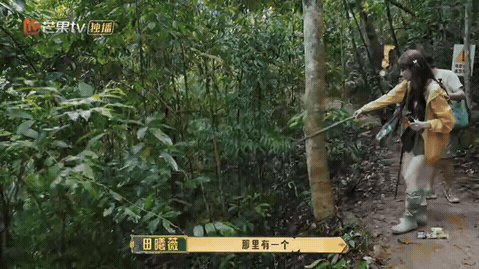 王安宇说田曦薇3秒冲出去忙忙碌碌寻宝藏哈哈哈哈田曦薇这个“铁坦”人设算是焊死了。