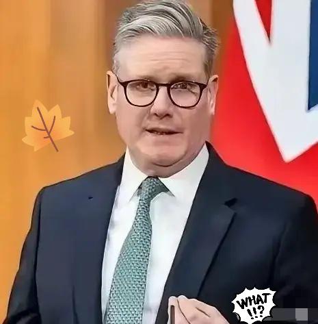 英国传来新消息！
4月27日新华社权威确认，英国议会下院议长正式宣布，将举行投票