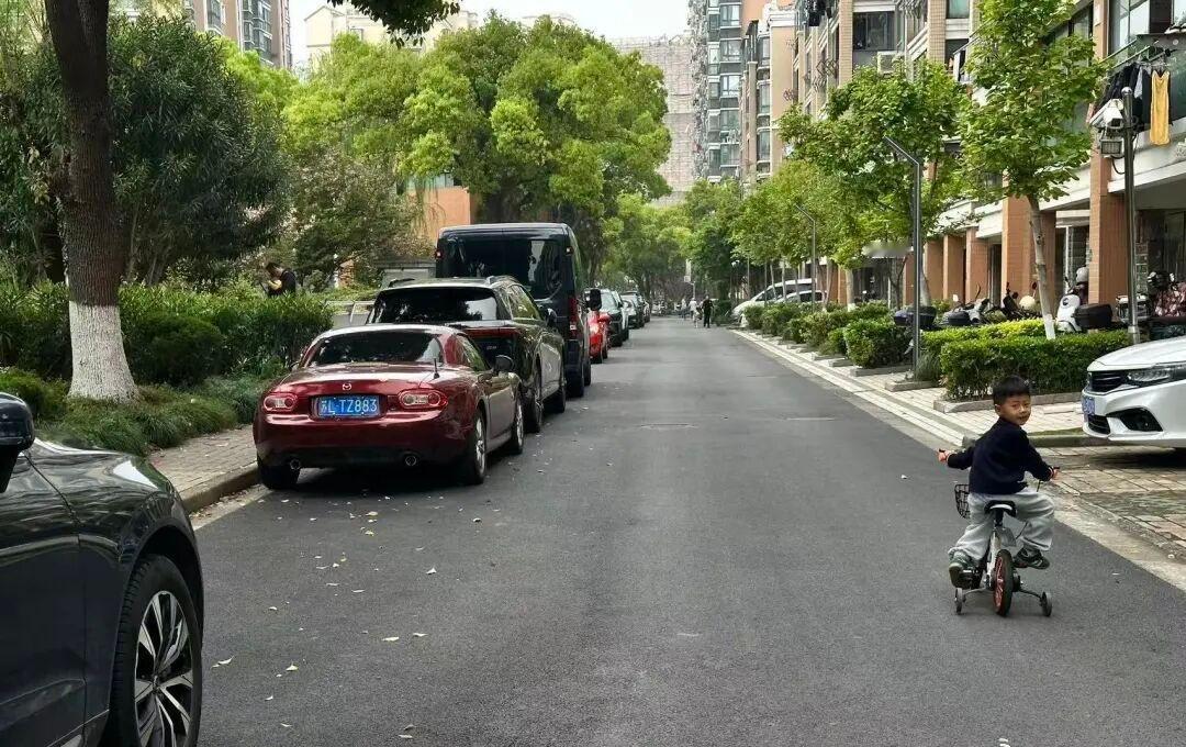 嘉定城事【路灯亮了、景观美了、“毛孩子”社交热了！“微更新”改出民生温度】在城市