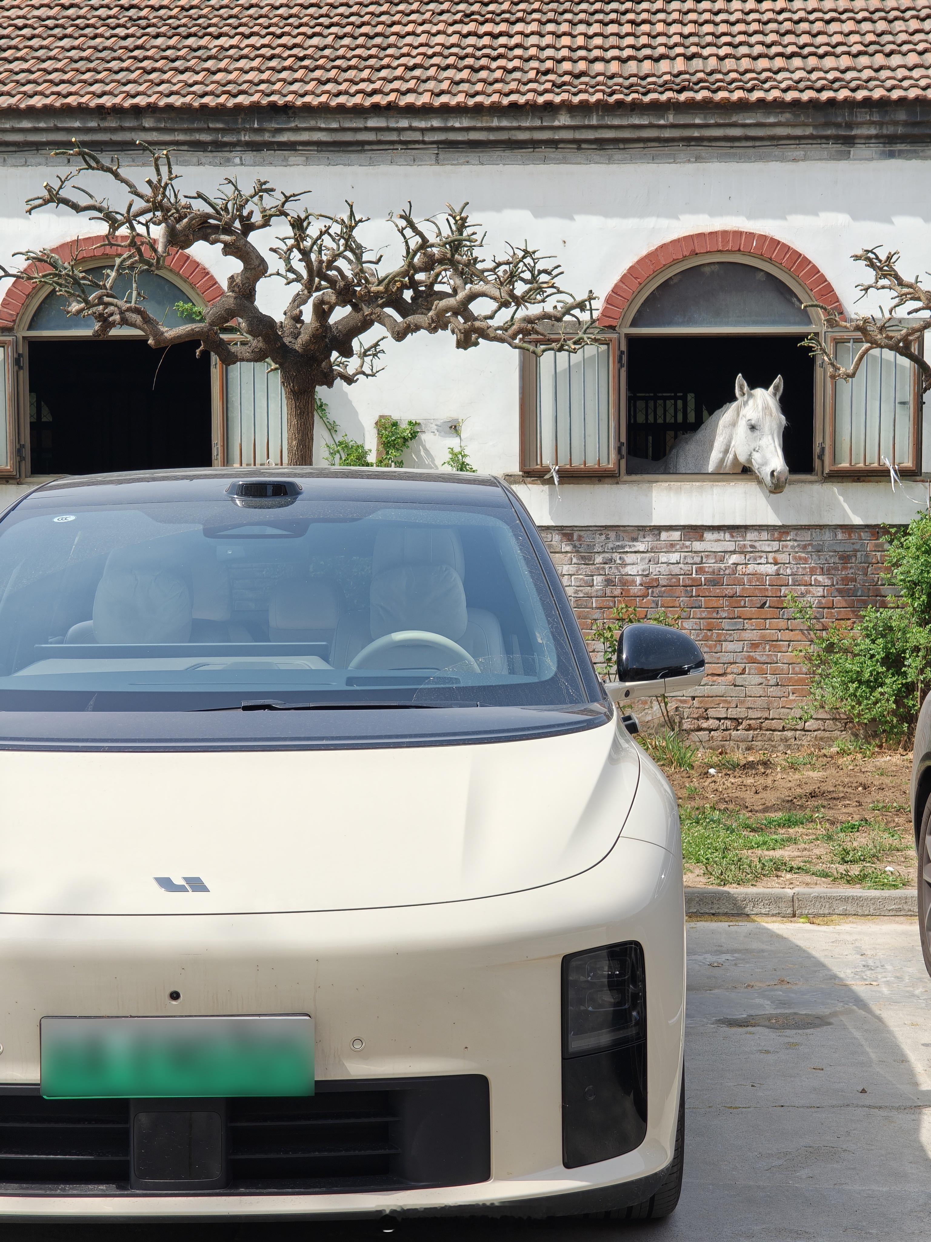 我的日常plog幼安唠嗑 周末出来溜溜理想i6 也溜溜自己，我想骑马很久啦，学习