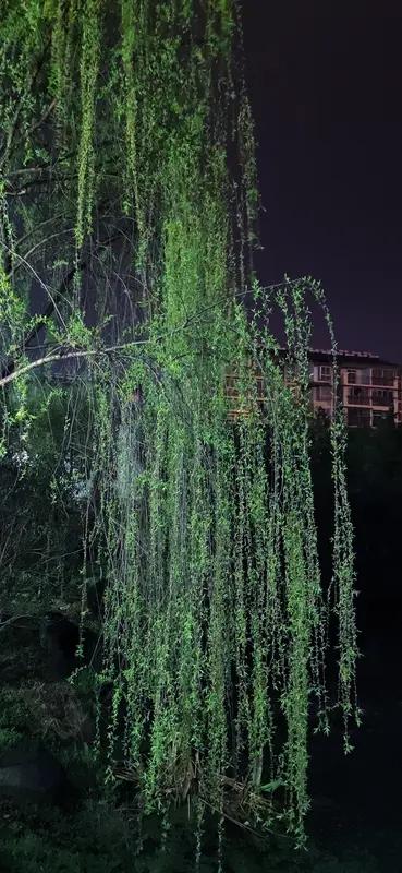 看到这个上联“昨夜清风梳绿柳”，瞬间感觉画面感满满啊。那下联可得好好琢磨琢磨。