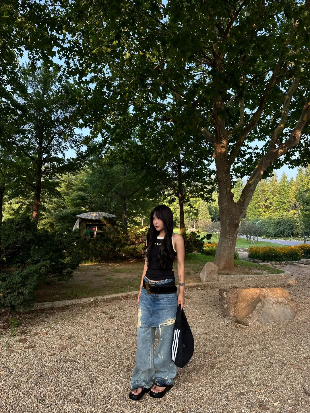 6点的早上