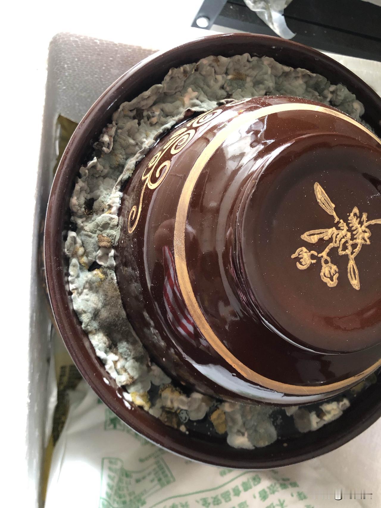 这是什么情况？

第一次做泡菜，外面长了这么多什么东西？

打开看着还不错，尝了