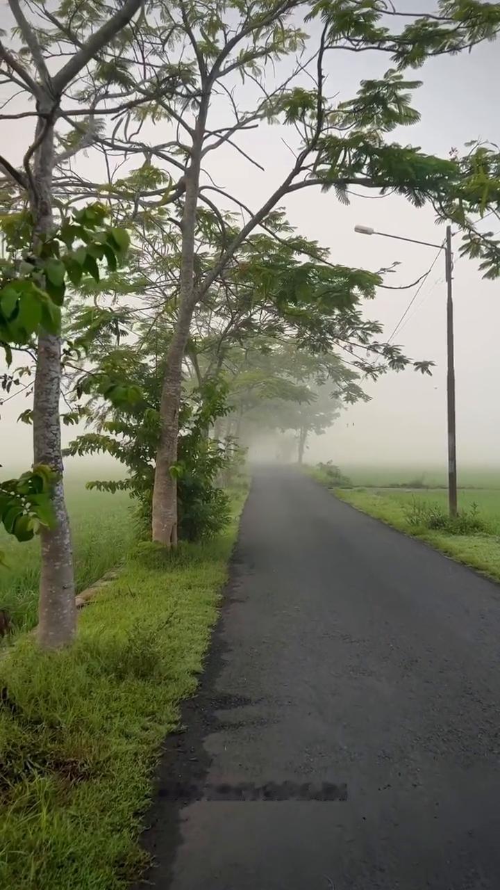 关于励志。
最高级的励志不是成为谁的光，而是学会在黑暗中自己发光。那些真正改变我