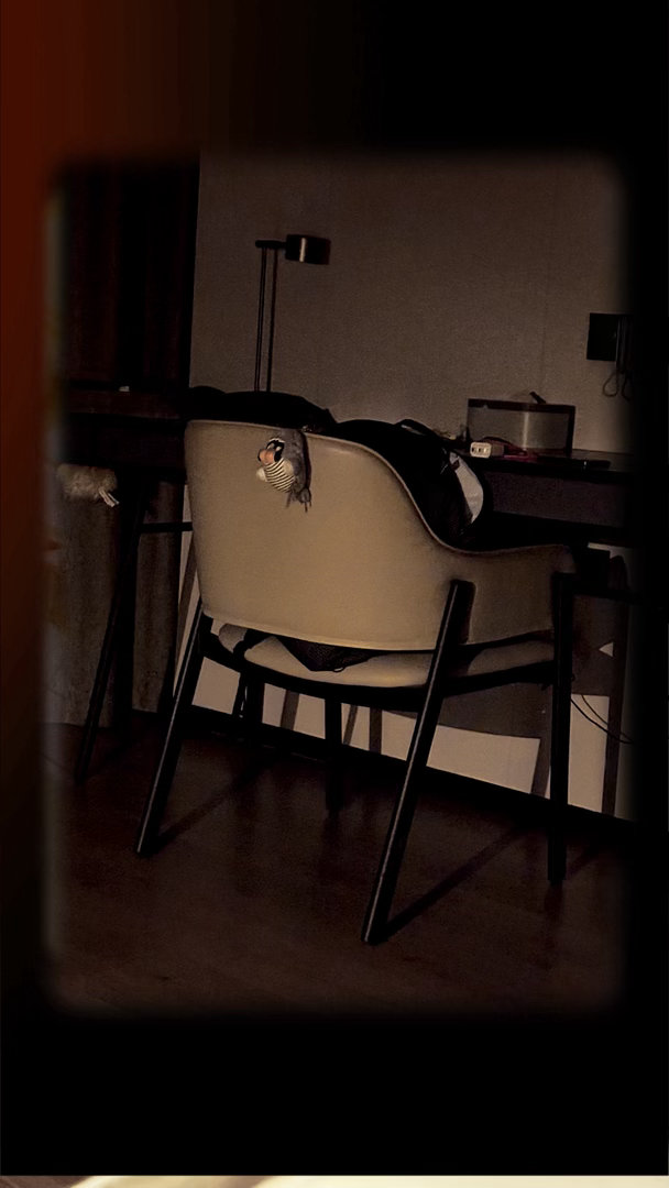 此刻很好不用让我辅导猜猜他是谁嘉嘉说，几天不见你会很想我的但你也可以休息一下了 
