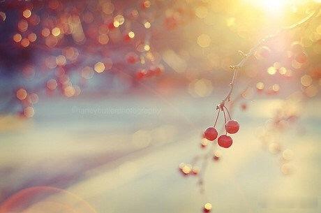 The best things in life are unseen，thats