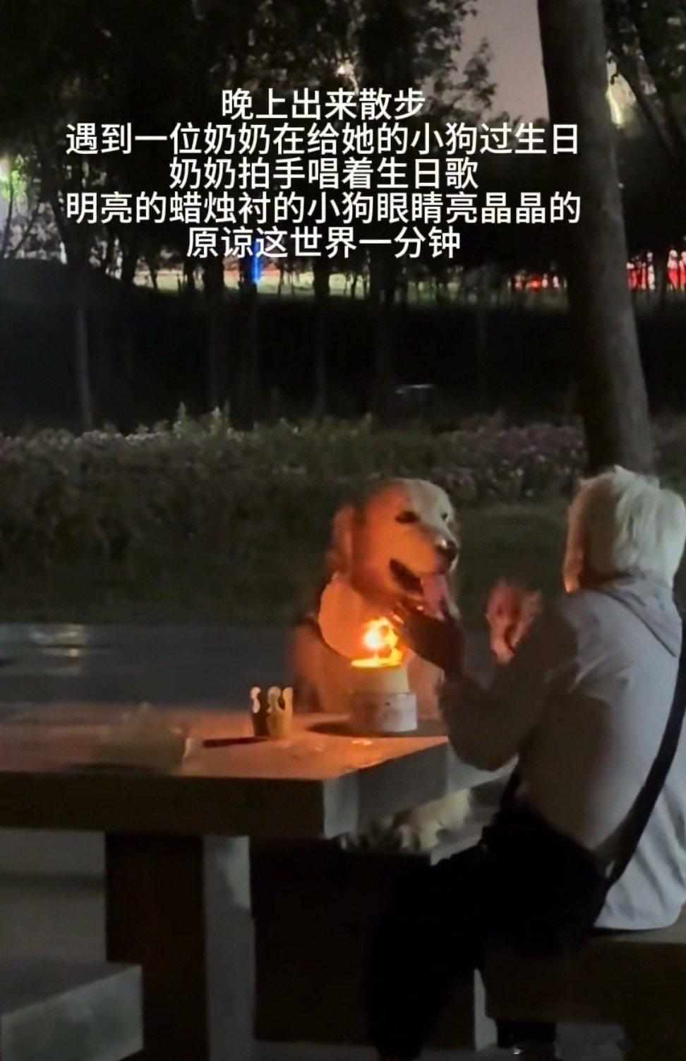 奶奶在公园给小狗过生日 奶奶在公园给小狗过生日！ ​​​