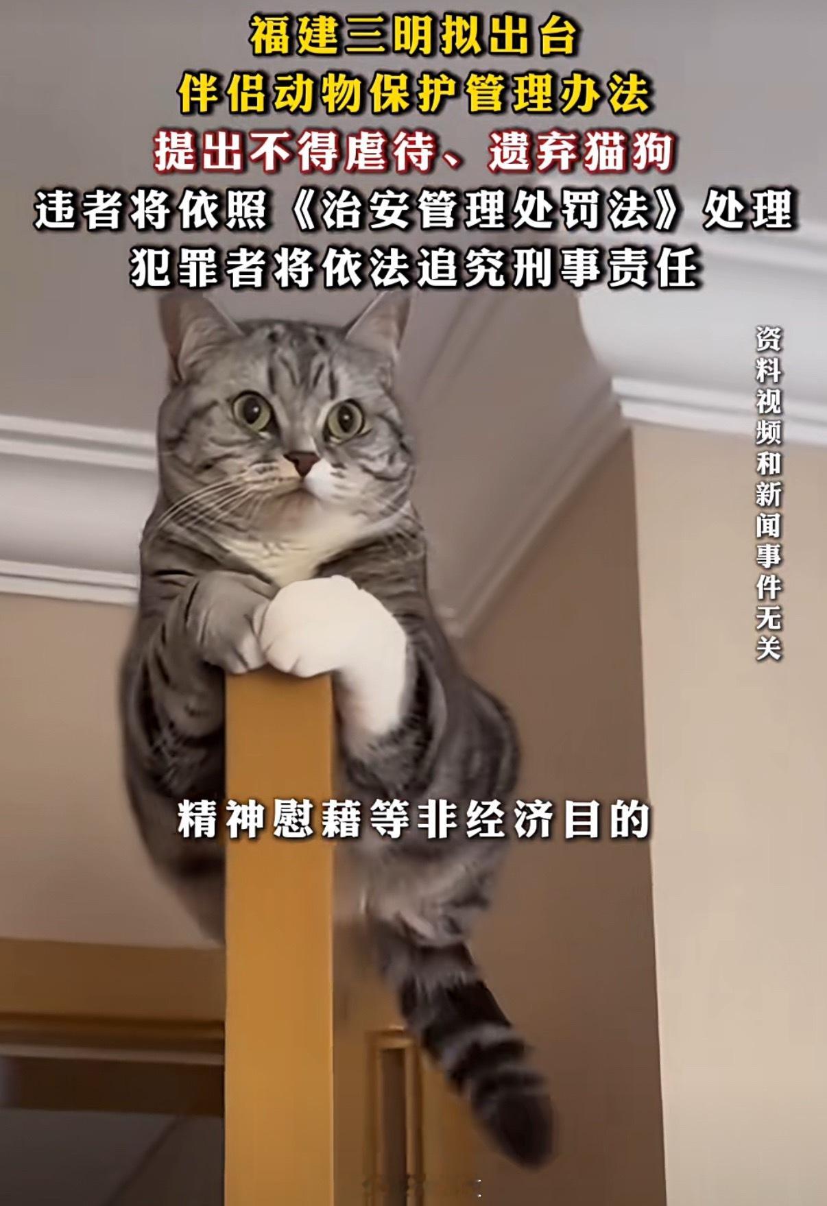 全国首个伴侣动物立法草案被删除三明让我印象最最最深刻的是医改，是地方探索出来的一