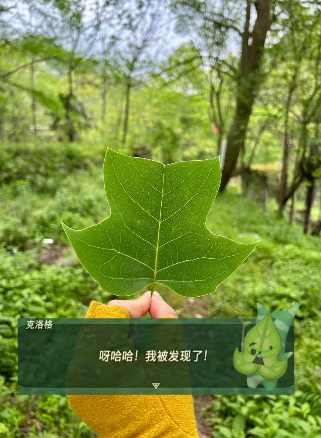 徒步的时候 找到了塞尔达里的呀哈哈