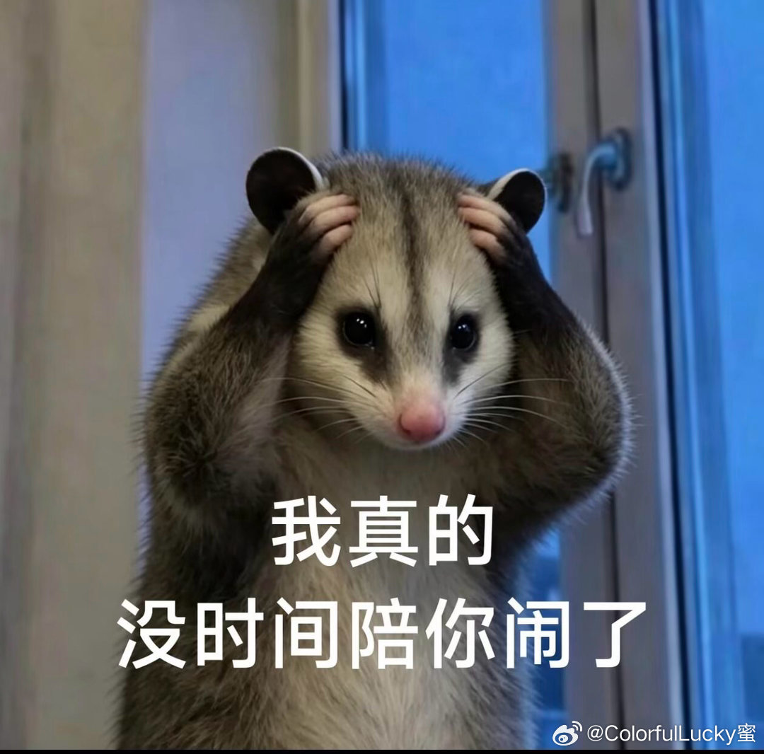 刚来鱼圈才没几天，就已经被好几位劈头盖脸一顿输出过（私信），吃呛💊了还是来大姨