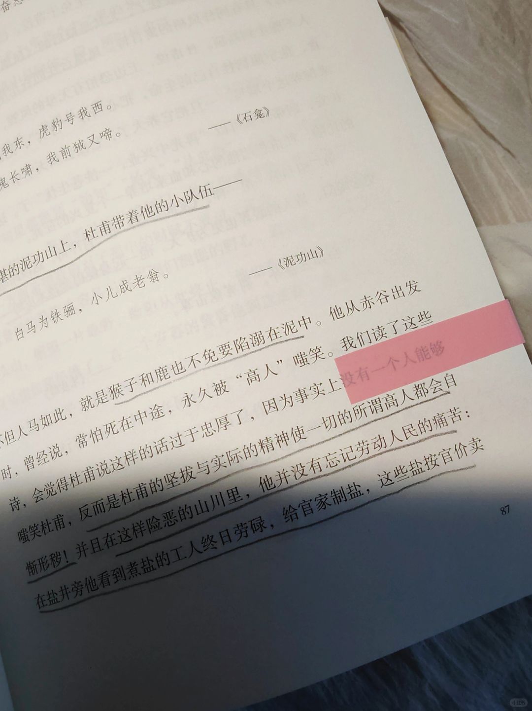 杜甫也太惨了，贫穷到只剩一文钱…