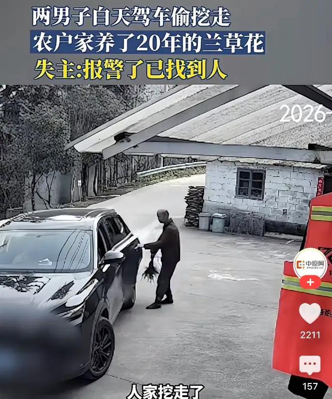 某地惊闻令人齿冷的盗窃案：两名男子深夜潜入农户家中，竟强挖走老人养护整20载的兰