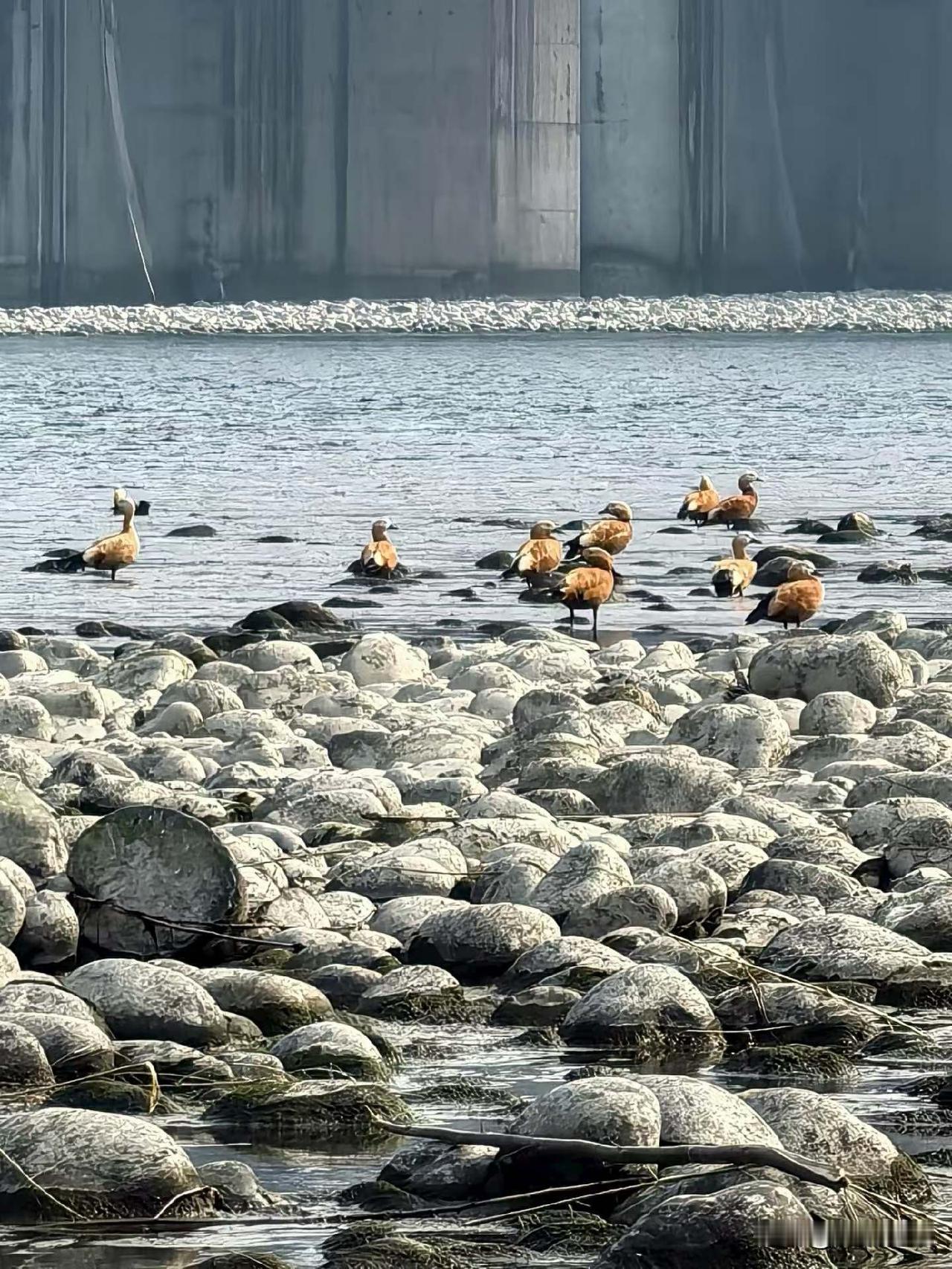 这世间的公平，大抵是最经不起推敲的命题。年轻时，心动的异性那样弥足珍贵，可供挑选