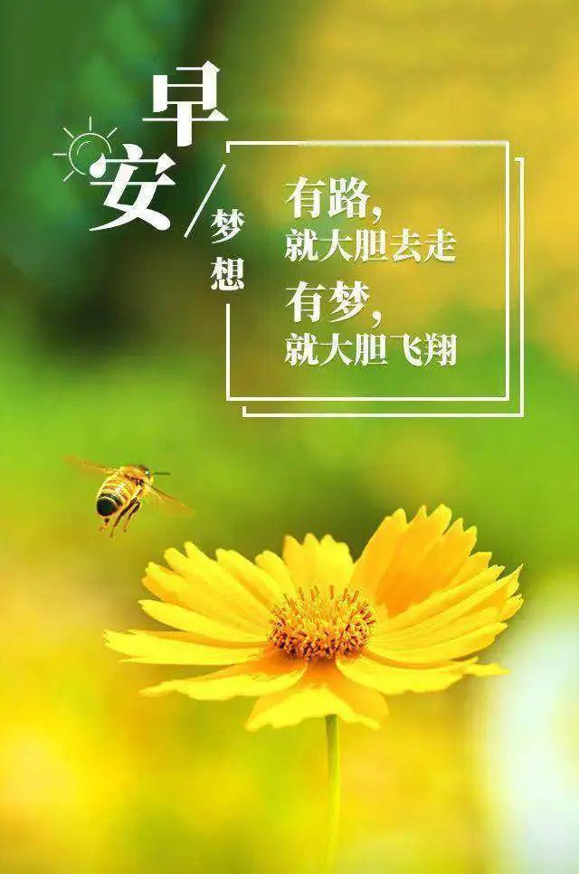 早安[超话] 小小的世界，小小的坚持，在缤纷的岁月里，化作了一首纯美的诗。周二早