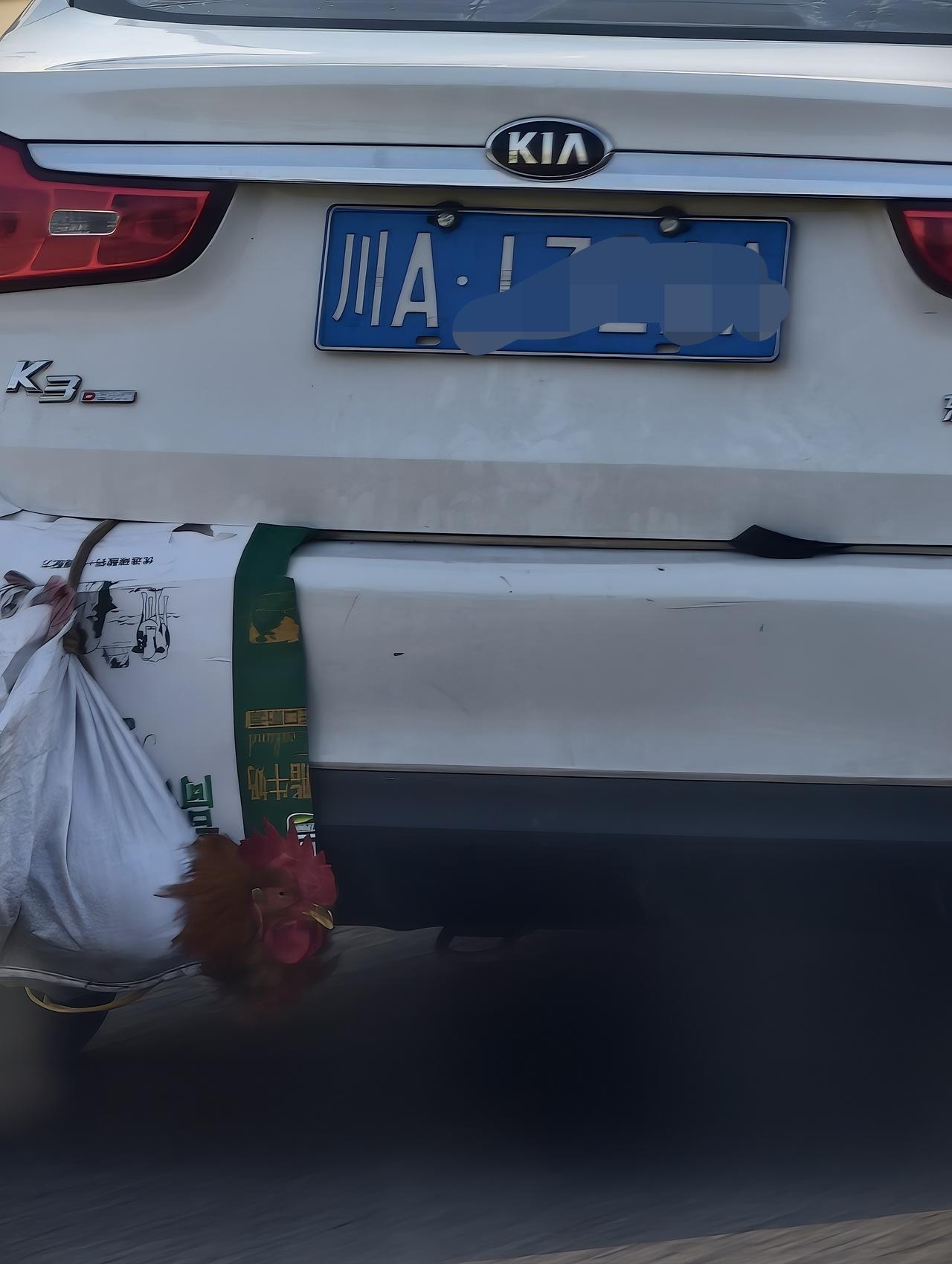 这应该算是涡轮增“鸡”吧
川渝人民太可爱了[星星眼]