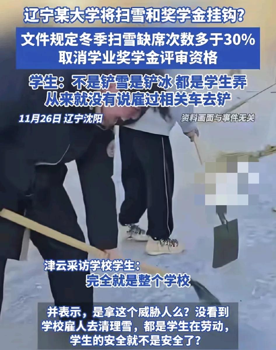 11月26日，辽宁大学有网友称学校让学生去给校园内铲雪场冰，并且这个劳动与奖学金