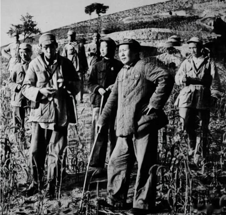 【九九缅怀、久久缅怀历史回声 】毛主席说 :“一个指挥员指挥打仗，三个仗，胜二个