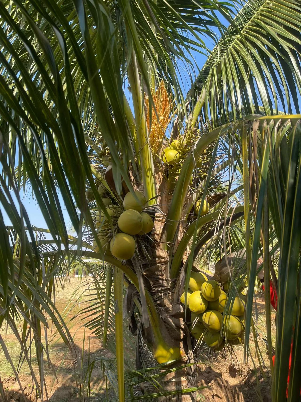 记录我的2026很难很蓝