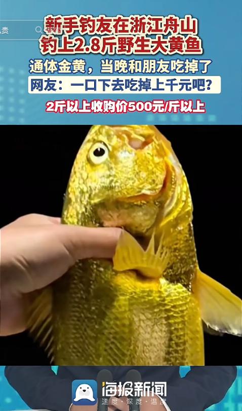 “太幸运了！“9月12日，浙江舟山一女子出门钓鱼，鱼竿刚放下没多久，水里突然有动