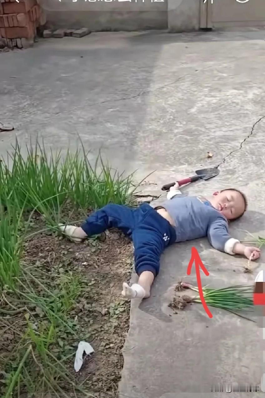 奶奶做饭要拨水葱，孙子自告奋勇替奶奶去挖，饭都做熟了不见孙子回来，寻到菜园子旁看