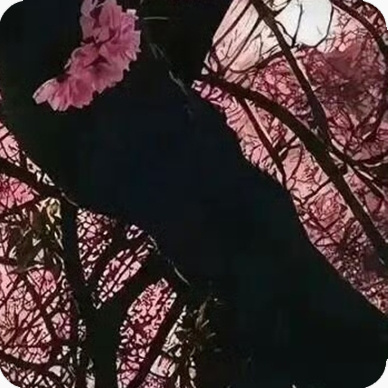 每日一善阳光信用｜每日一善人生有所舍，才能有所得；有所放下，才能有所收获。 与其