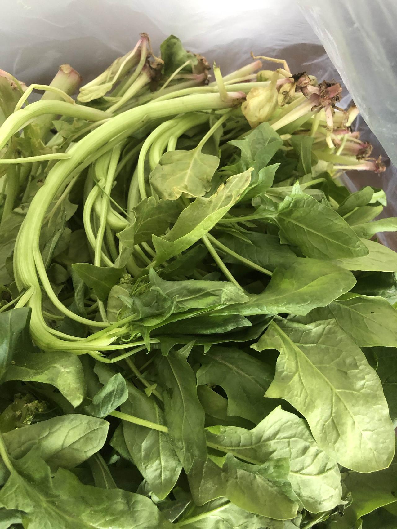 早市上，一群大妈围着一个菜筐，你一把我一把地抢。我凑过去看，是菠菜，红根，叶子不