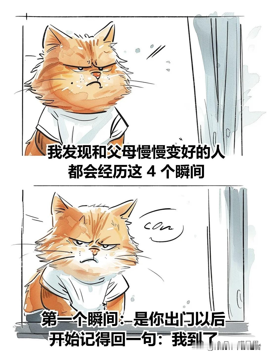 治愈漫画 I 和父母慢慢变好的 4 个瞬间日常治愈漫画 漫画治愈时刻 漫画治愈心