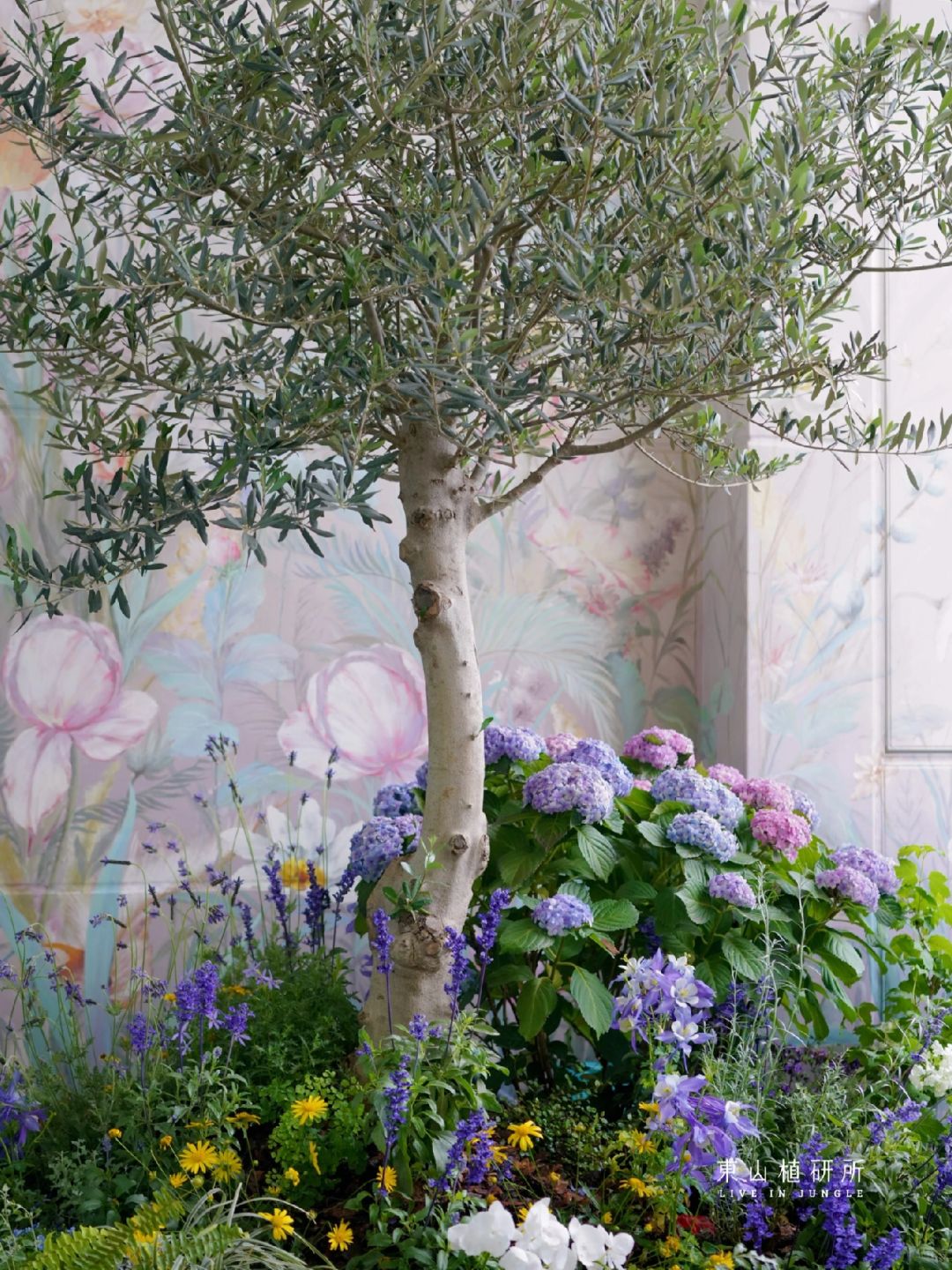 春日花境｜野趣自然风阳台花园🍃