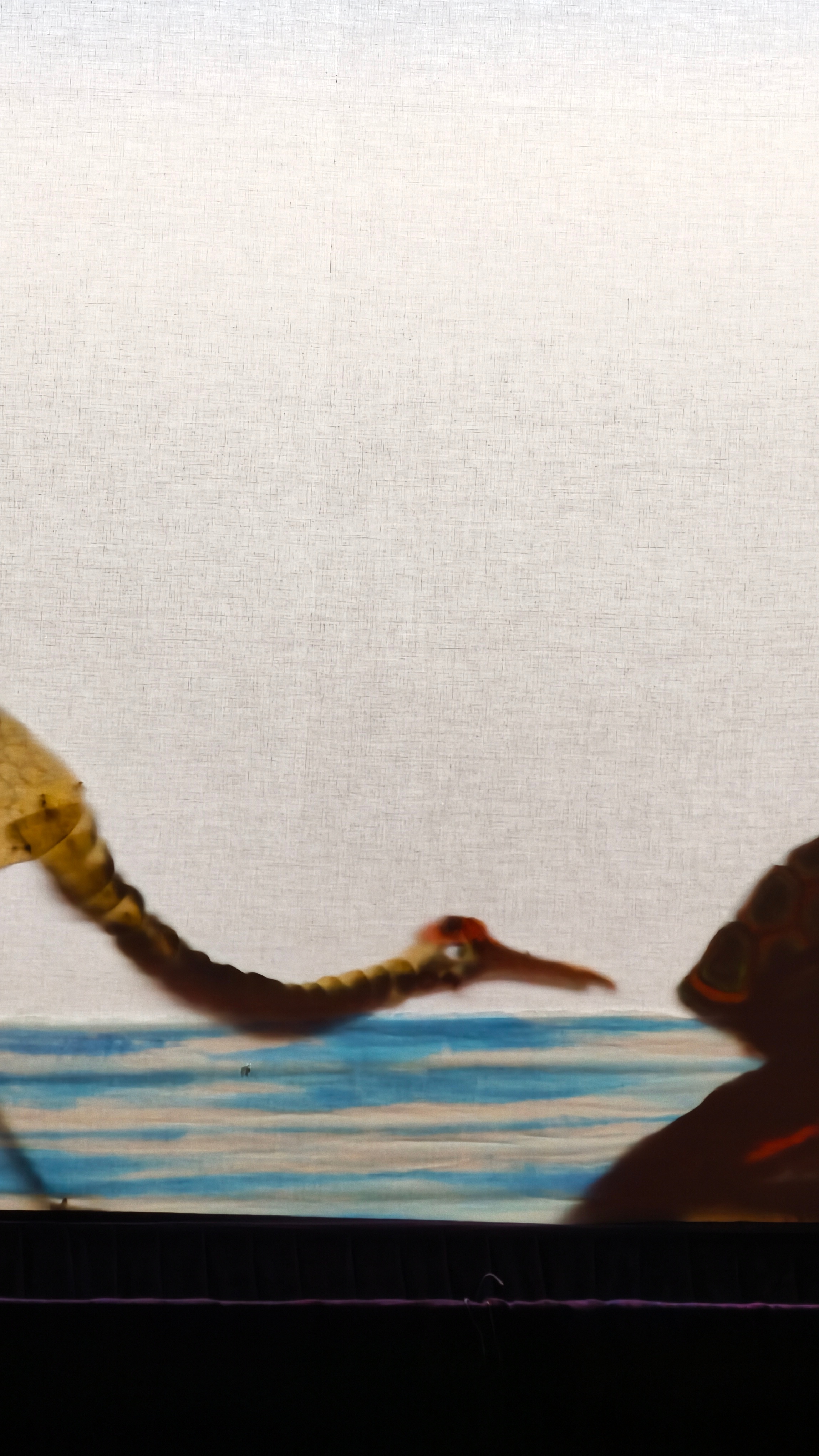 一影一戏一乾坤。海宁皮影《龟与鹤》，南宋遗韵，手工雕绘。龟鹤智斗，演尽世间小哲思