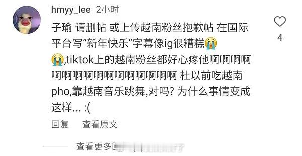 梓渝发Chinese New Year也被冲了…越南的网友怎么对别人家的传统文化