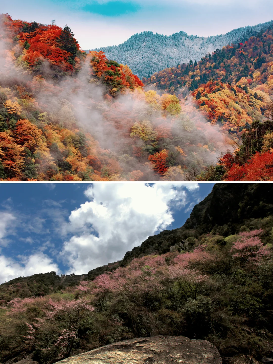 探秘历史韵味的宝藏小城｜广元青川旅游攻略