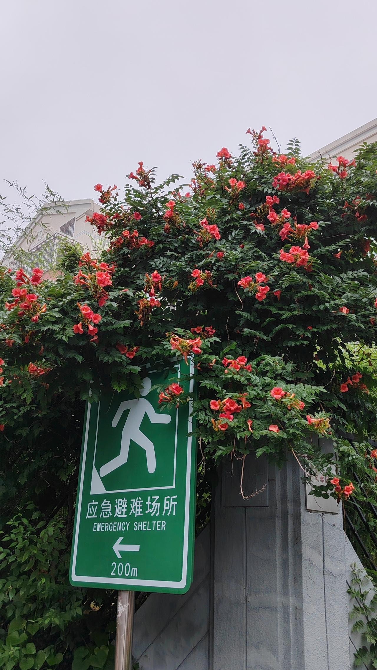 晒图笔记大赛