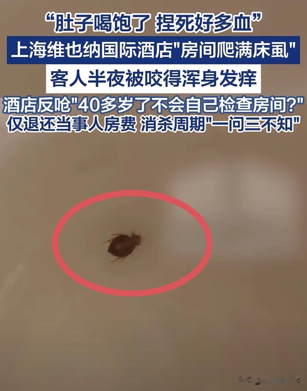 住酒店被床虱咬到崩溃！凌晨2点被迫换房，酒店竟甩锅反问“不会自己检查？”

7月