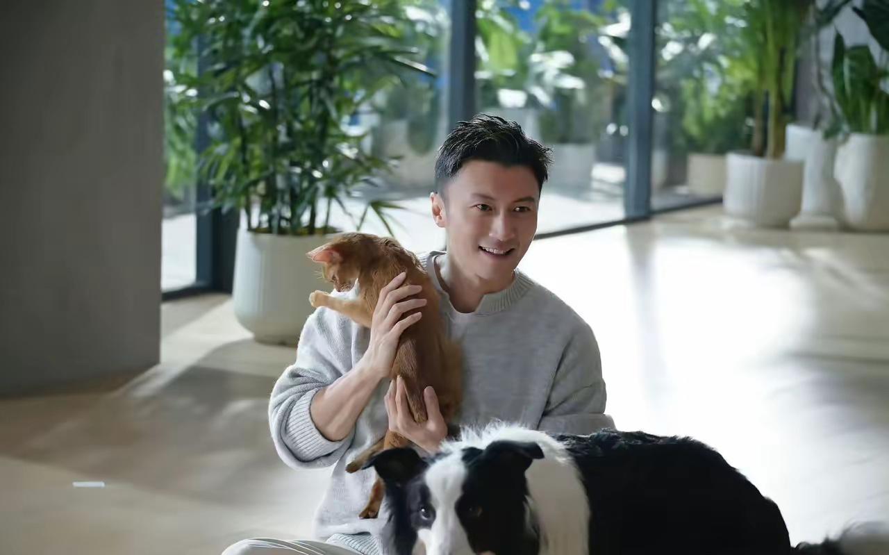 谢霆锋在深圳演唱会上，听说了七只狗狗走了17公里找回家的故事，当场就决定把他那支