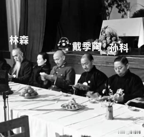 人们都知道蒋介石有两个儿子，一位是亲儿子蒋介国，一位不是亲儿子蒋纬国。

网上都