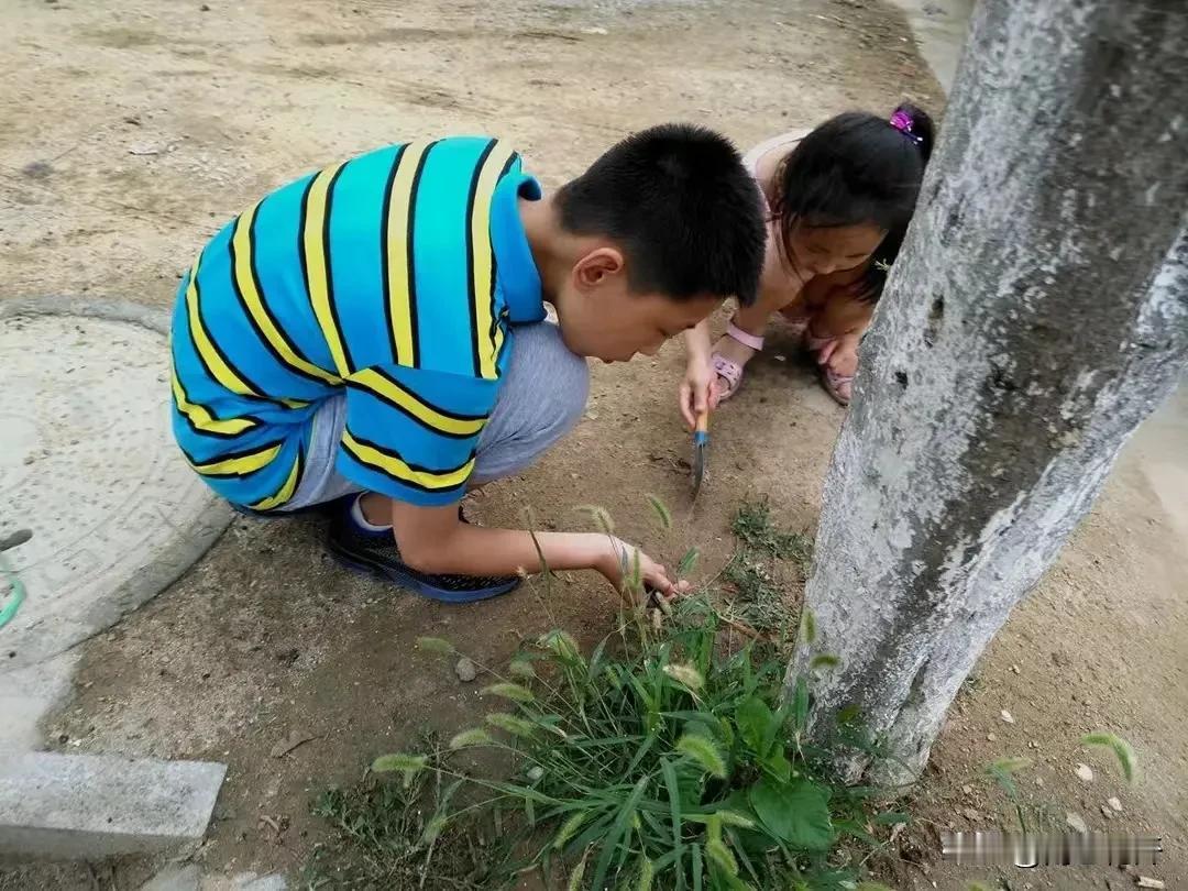 父母有童心，孩子更有创造力

学校教育正在不断扼杀孩子的想象力和创造力，这已经成