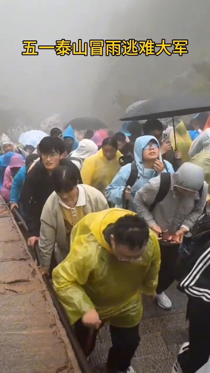 五一泰山冒雨逃难大军。远看像一群要饭的，近看像一群逃难的，仔细一看都是吃饱了撑的