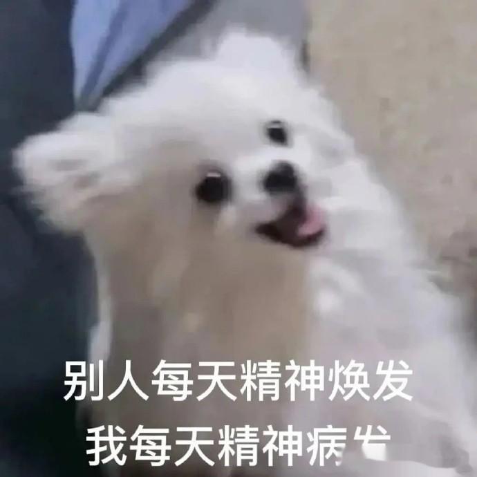 有时候，就是想单纯犯个贱…没有别的意思[老师好] ​​​