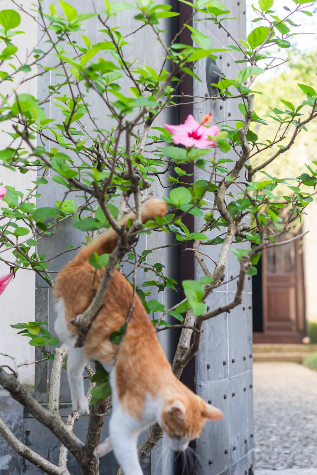 上一秒拈花惹草，下一秒。。。