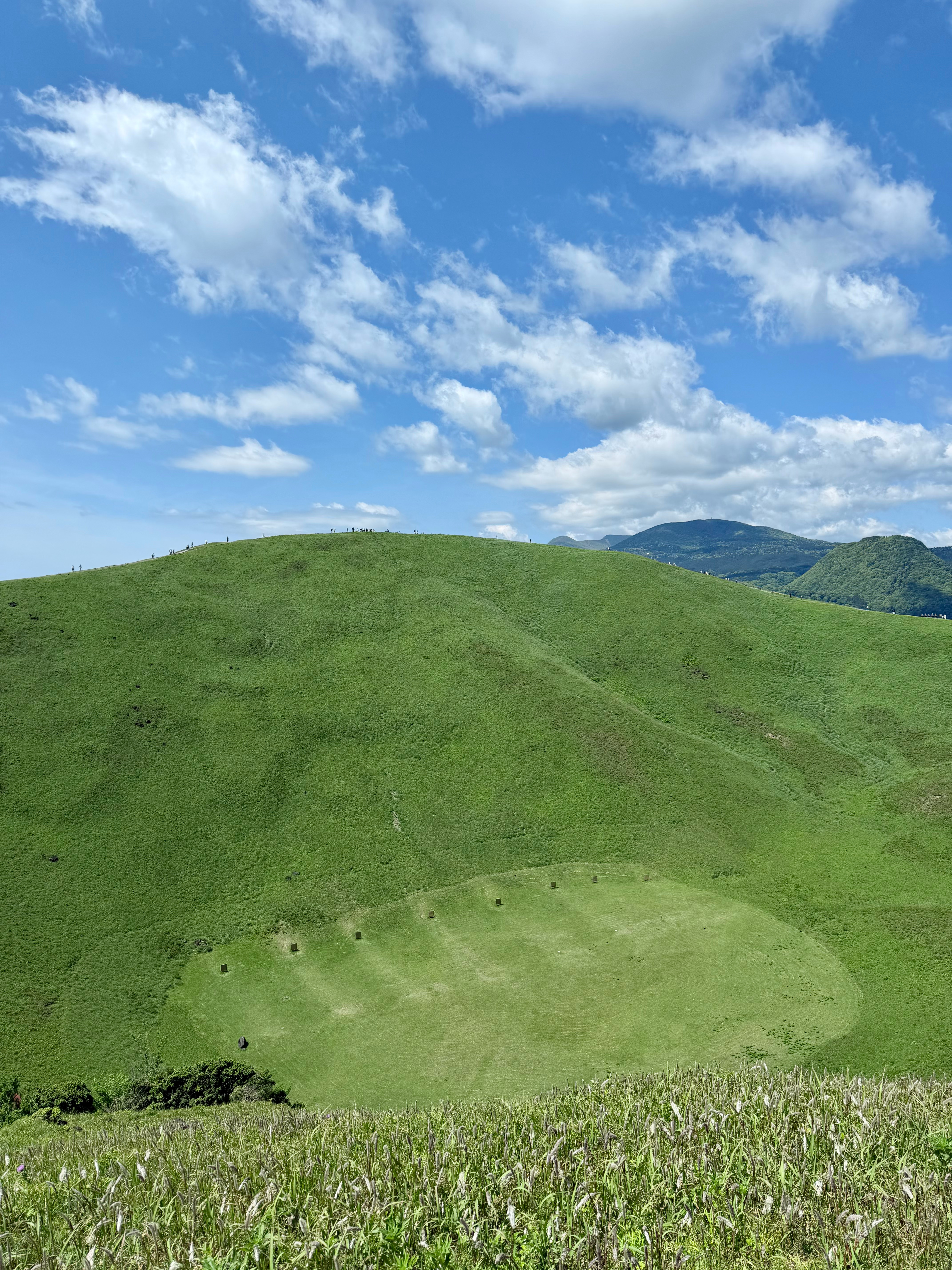 大室山 你美💚 
