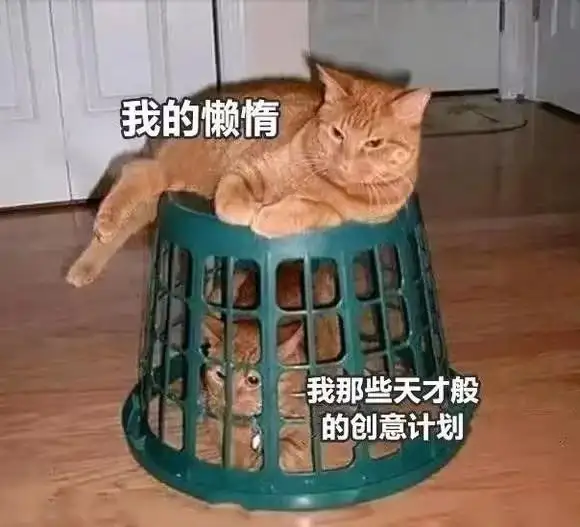 <img src=