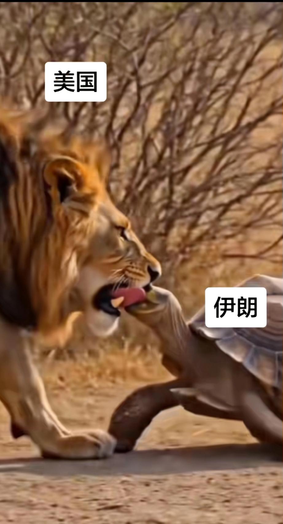 看似悬殊的力量对比之下，是美国的霸权难以破局，还是伊朗的生存智慧更胜一筹，这背后