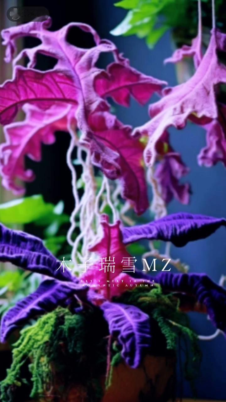 木子瑞雪MZ。