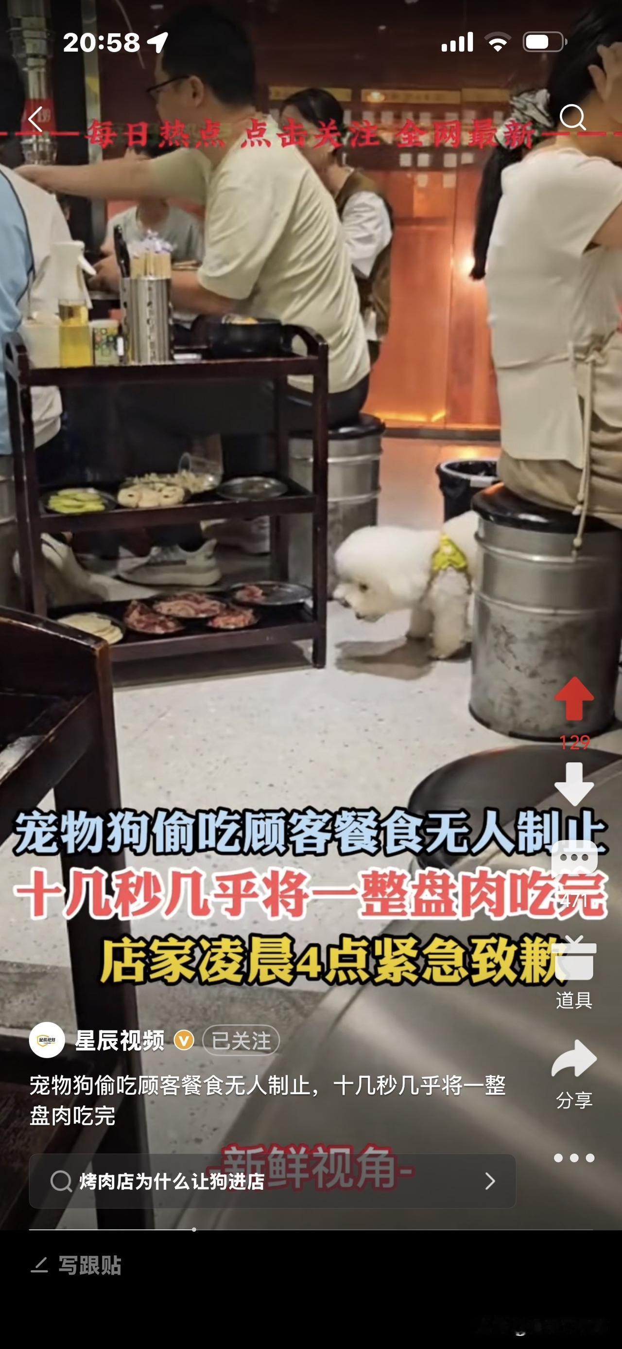 火锅餐厅里，一只宠物狗偷吃顾客推车上的肉，
10多秒就把一盘肉吃光了，
服务员来