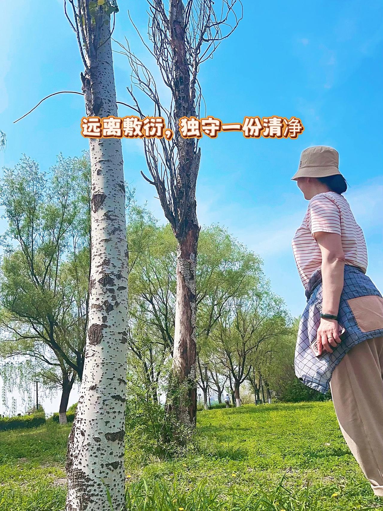 是忙吗？是因为产生了矛盾吗？没有，是因为清醒了，当你清醒以后，你就会慢慢地去断了